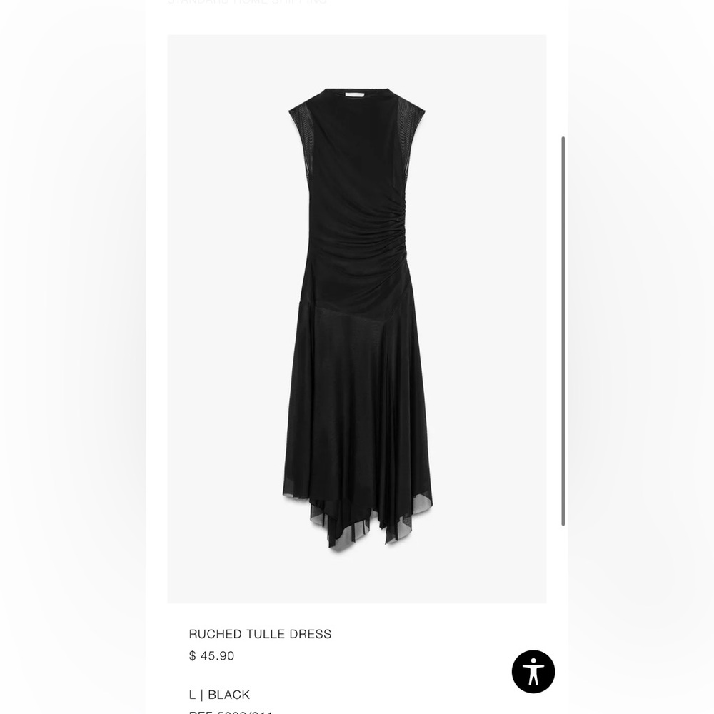 Zara dress